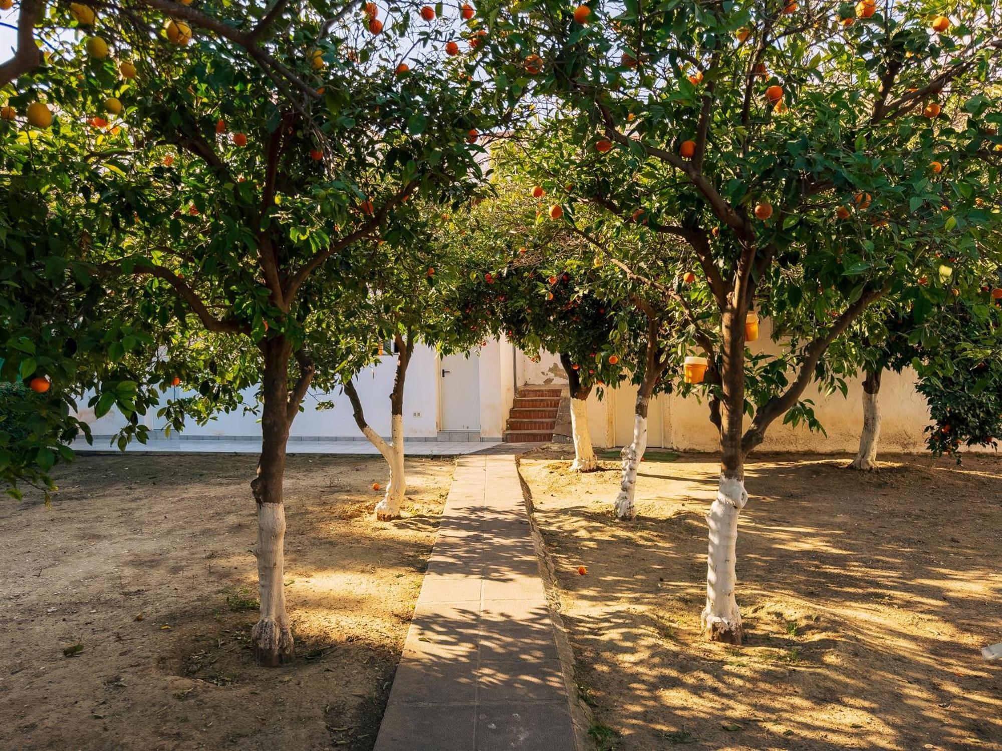 Charming Country House 토레몰리노스 외부 사진